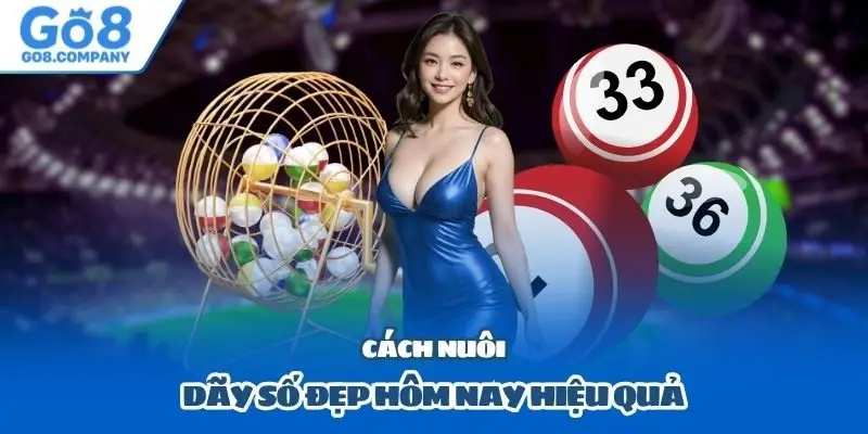 Cách nuôi dãy số đẹp hôm nay hiệu quả